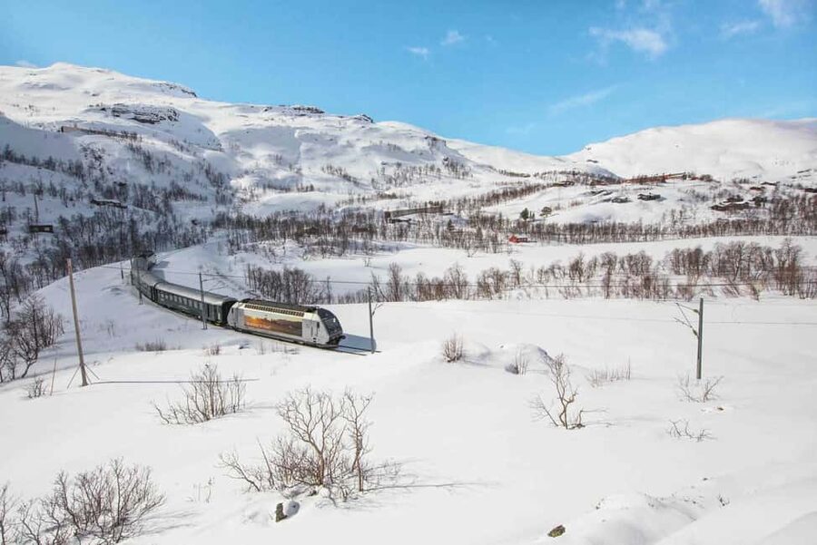 Winter Tour Viking Village, Nærøyfjord Cruise & Flåm Railway - Should you book this tour?