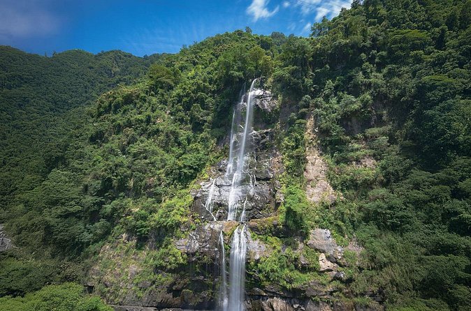 Wulai Nature Tour: Scenic Train, Waterfalls & Indigenous Cuisine - A closer look at Wulai’s forestry past