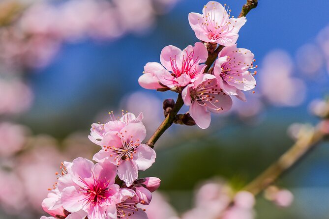 Wulai Nature Tour: Scenic Train, Waterfalls & Indigenous Cuisine - How the $189 price measures up