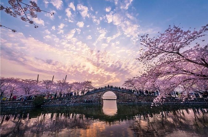 Wuxi Private Flexible Day Tour from Shanghai by Bullet Train - Your flexible choices in Wuxi