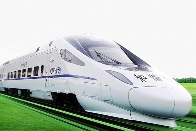 Wuxi Private Flexible Day Tour from Shanghai by Bullet Train - Lingshan Giant Buddha: the day’s grandest stop