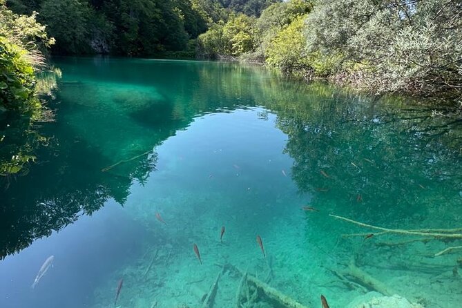 Zagreb: Plitvice Lakes With Secured Tickets, Boat And Train Ride - Starting at Entrance 1 and the canyon viewpoints