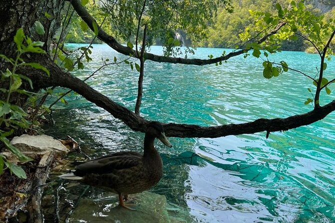 Zagreb: Plitvice Lakes With Secured Tickets, Boat And Train Ride - What the $143.20 price really covers