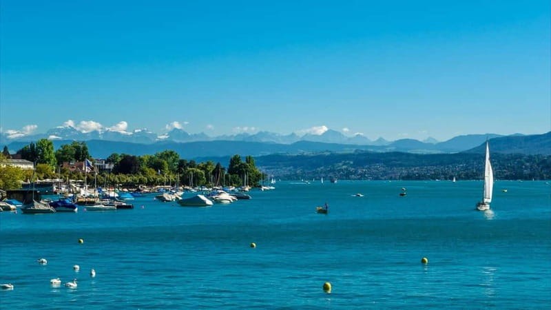 Zurich: 2-hour Best Intro Walking Tour with a Local - Starting at City Hall, where Zurich begins to make sense