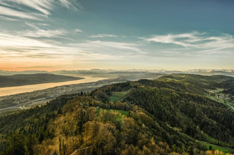 Zurich: Audio Guided City Tour and Train to “Top of Zurich” - Who will enjoy this tour most