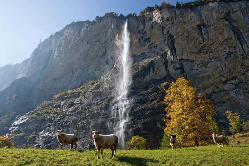 Zurich: Day Trip to Grindelwald, Interlaken & Lauterbrunnen - Why this day trip works from Zurich